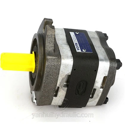 वोइथ आईपीवी पंप